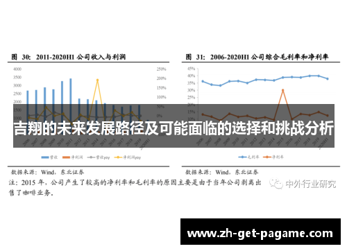 吉翔的未来发展路径及可能面临的选择和挑战分析