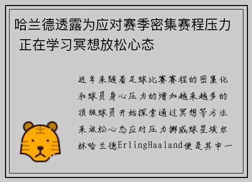 哈兰德透露为应对赛季密集赛程压力 正在学习冥想放松心态